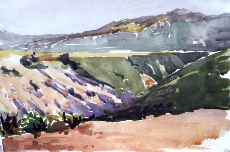 A Beginning Michael Gerry, Painter